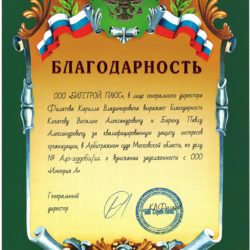 Благодарность БИГСТРОЙ